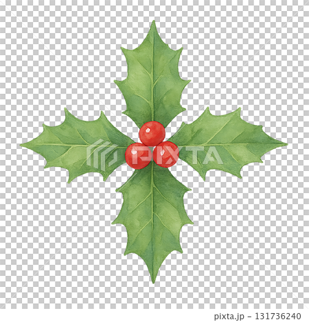 冬青和紅色漿果水彩插圖(剪切) 冬青和紅色漿果水彩插圖(剪切) 131736240