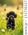 春の花と遊ぶ子犬 131736327