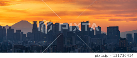 「東京都」文京シビックセンターからの眺望（新宿方向） 131736414