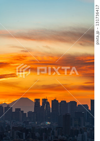 「東京都」文京シビックセンターからの眺望（新宿方向） 131736417