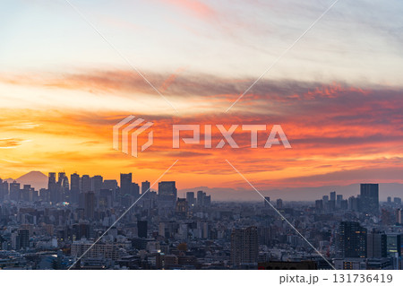 「東京都」文京シビックセンターからの眺望（新宿方向） 131736419