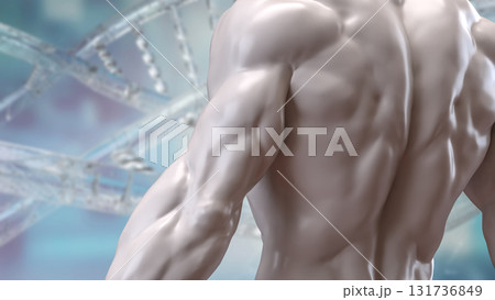The Human Body for Science or medical concept 3d Rendering. The Human Body for Science or medical concept 3d Rendering. 131736849