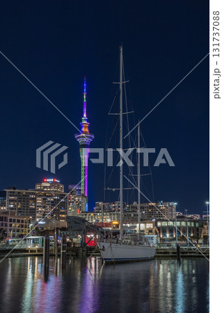 ニュージーランド　オークランドのバイアダクトから見えるスカイタワーとヨットーハーバーの夜景 131737088
