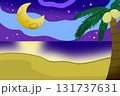 月夜のビーチ 月夜のビーチ 131737631