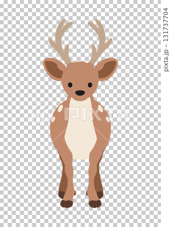 Cute vector illustration of a deer facing forward 131737704