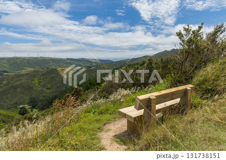 ニュージーランド　ウェリントンのスカイライン・ウォークウェイ沿いにあるベンチ 131738151