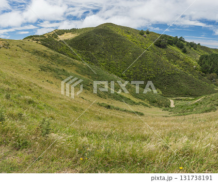 ニュージーランド　ウェリントンのスカイライン・ウォークウェイからの風景 131738191