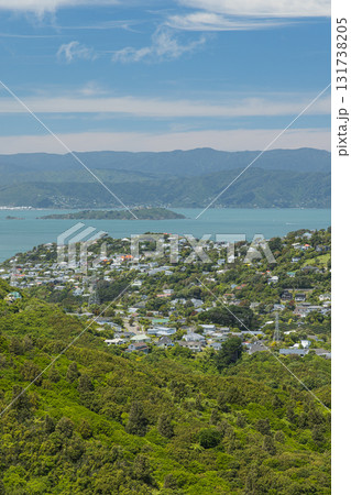ニュージーランド　ウェリントンのスカイライン・ウォークウェイから眺める街並みとウェリントン湾 131738205