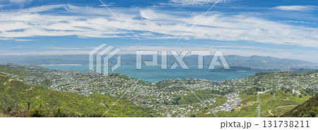 ニュージーランド　ウェリントンのスカイライン・ウォークウェイから眺める街並みとウェリントン湾 131738211