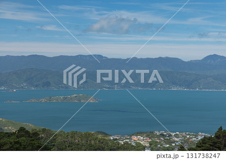 ニュージーランド　ウェリントンのマウント・カウカウから眺める街並みとウェリントン湾 131738247