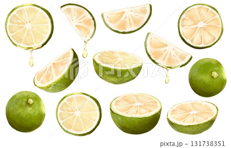 水彩で描いたナチュラルな柑橘系フルーツの素材セット 131738351