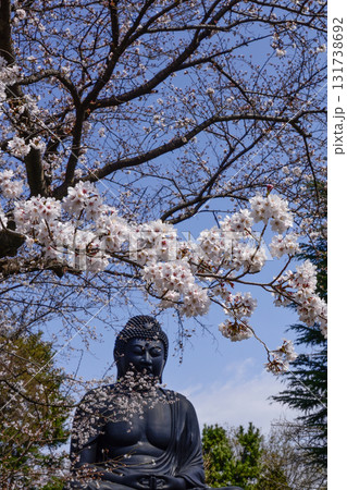 東京大仏（乗蓮寺）と桜 131738692