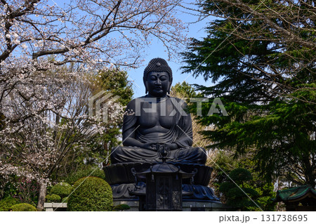 東京大仏（乗蓮寺）と桜 131738695