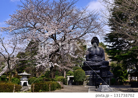 東京大仏（乗蓮寺）と桜 131738702