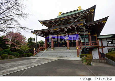 赤塚山　乗蓮寺　本堂 131739198
