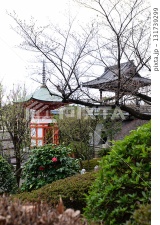 赤塚山　乗蓮寺　福寿観音 131739299