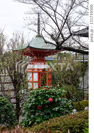 赤塚山 乗蓮寺 福寿観音 赤塚山 乗蓮寺 福寿観音 131739300