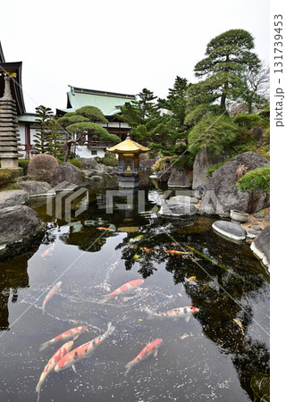 赤塚山　乗蓮寺　弁天堂 131739453