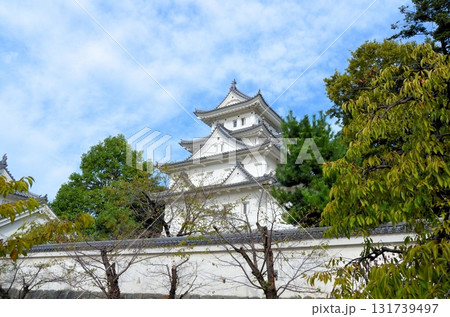 大垣城 天守閣 大垣城 天守閣 131739497