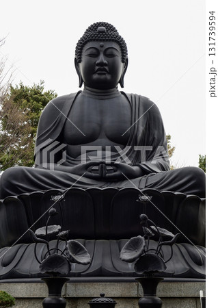 東京大仏(乗蓮寺) 東京大仏(乗蓮寺) 131739594