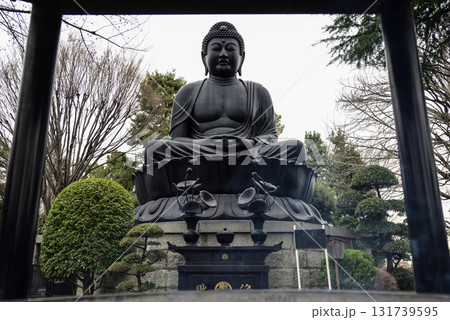 東京大仏(乗蓮寺) 東京大仏(乗蓮寺) 131739595