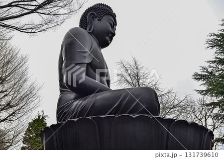 東京大仏（乗蓮寺） 131739610