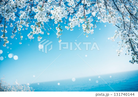 冬の白いしだれ桜と青空と光のボケ背景 幻想的な冬景色フレーム素材 冬の白いしだれ桜と青空と光のボケ背景 幻想的な冬景色フレーム素材 131740144