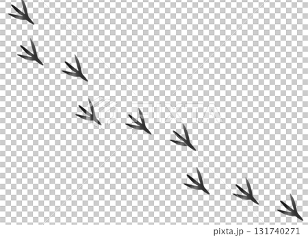Bird footprints watercolor illustration 131740271