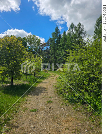 Sunlit Splendor Scenic Nature Landscape Sunlit Splendor Scenic Nature Landscape 131740581