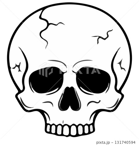 vector of skull vector of skull 131740594