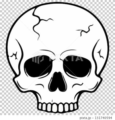 vector of skull vector of skull 131740594