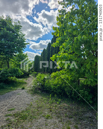 Sunlit Splendor Scenic Nature Landscape 131740603