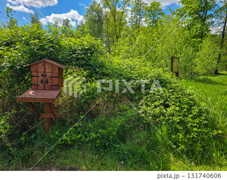 Sunlit Splendor Scenic Nature Landscape Sunlit Splendor Scenic Nature Landscape 131740606