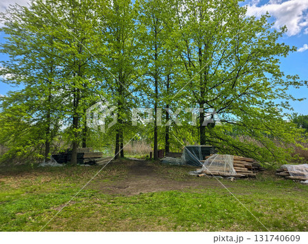 Sunlit Splendor Scenic Nature Landscape 131740609