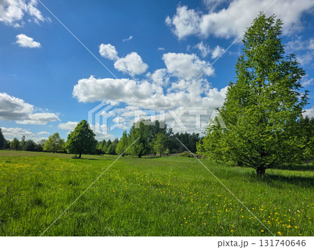 Sunlit Landscape Nature s Harmony Sunlit Landscape Nature s Harmony 131740646