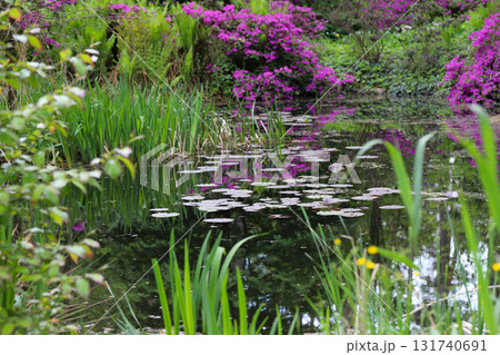 Blossoming Bushes and Trees Around a Picturesque Pond 131740691