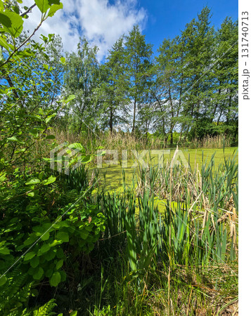 Scenic Park Landscape Harmony of Nature and Landscape Design 131740713