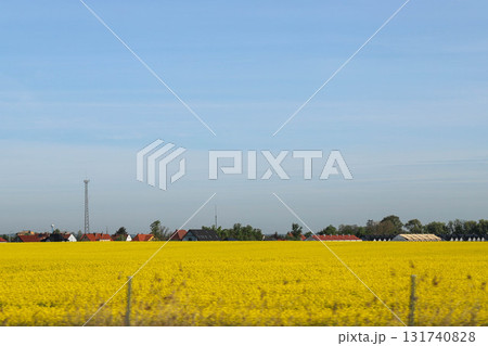 Scenic Agricultural Fields in Spring Light Scenic Agricultural Fields in Spring Light 131740828