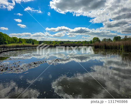 Sunlit Lake with Water Lilies Peaceful Nature Harmony 131740866