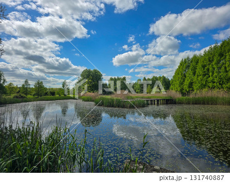 Sunlit Lake with Water Lilies Peaceful Nature Harmony Sunlit Lake with Water Lilies Peaceful Nature Harmony 131740887