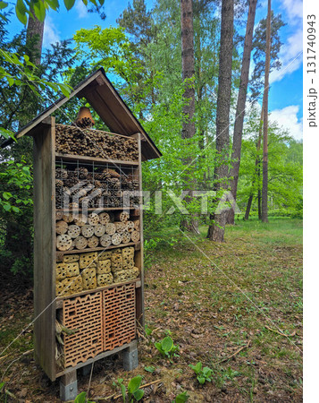 Insect Hotel in Nature Eco Friendly Habitat for Bees and Bugs Insect Hotel in Nature Eco Friendly Habitat for Bees and Bugs 131740943