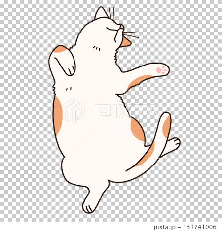一隻貓仰睡的插圖 131741006