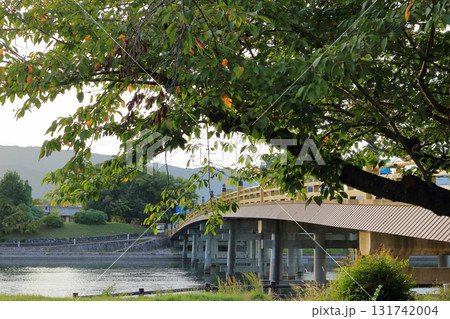 夏の終わりの夕方の瀬田の唐橋の風景 131742004