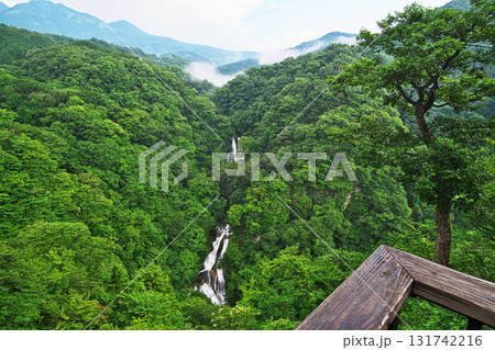 栃木県　日光三瀑　霧降滝（夏、七月） 131742216