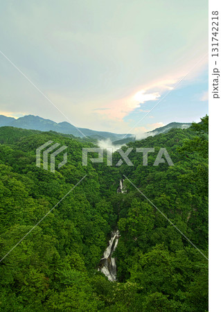 栃木県　日光三瀑　霧降滝（夏、七月） 131742218