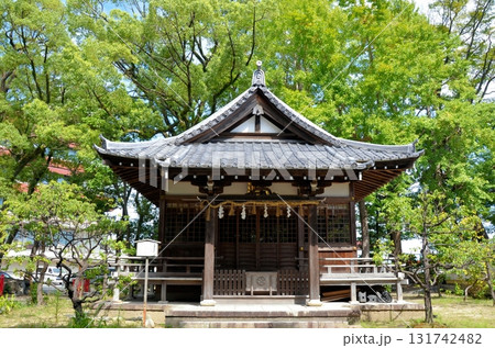 九華公園 鎮国守国神社 九華公園 鎮国守国神社 131742482