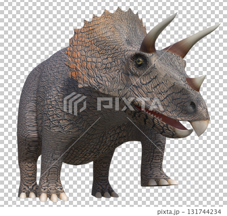 トリケラトプス 131744234