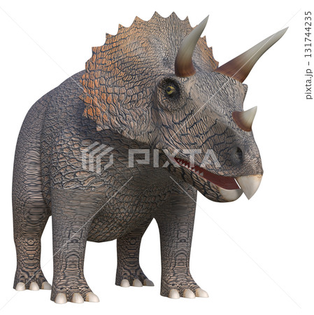 トリケラトプス トリケラトプス 131744235