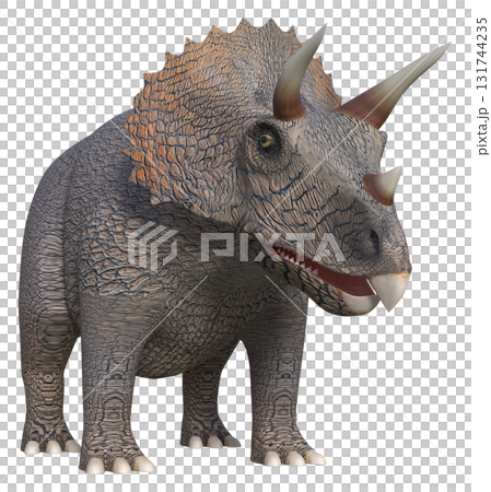 トリケラトプス トリケラトプス 131744235
