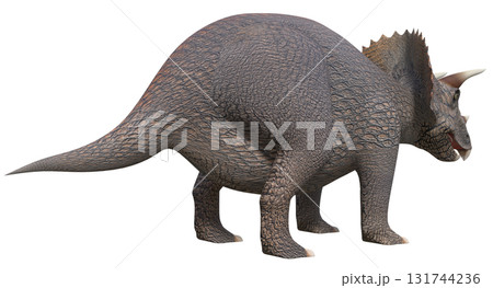 トリケラトプス トリケラトプス 131744236